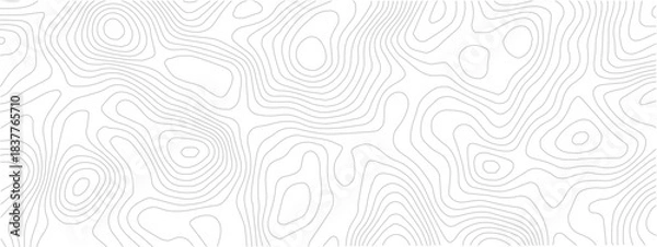 Obraz Abstract Terrain Topography Line Seamless Background