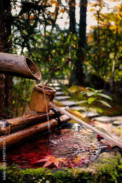 Obraz 日本の秋、紅葉が浮かぶ手水舎