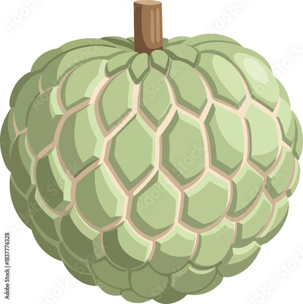 Obraz Exotic Custard Apple Fruit Flat Design Vector