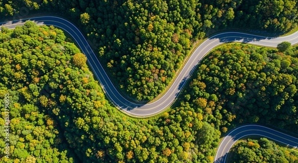 Obraz Aerial view of a winding asphalt road with multiple curves cutting through a dense, vibrant green forest under bright sunlight.