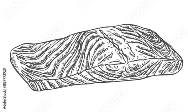 Fototapeta Salmon steak hand drawn isolated on white background for menu design. Vintage engraved sketch. Seafood dot drawing collection