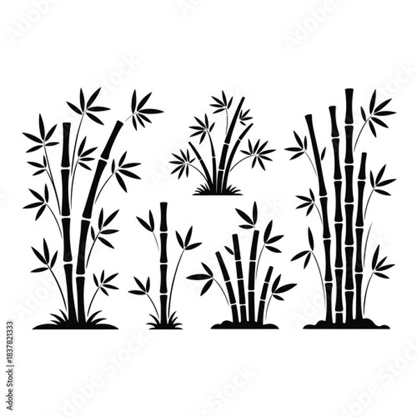 Obraz bamboo vector illustration