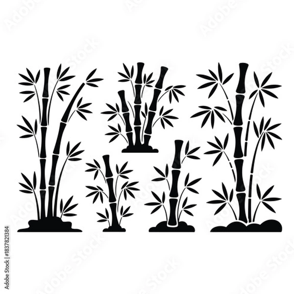 Obraz bamboo vector illustration