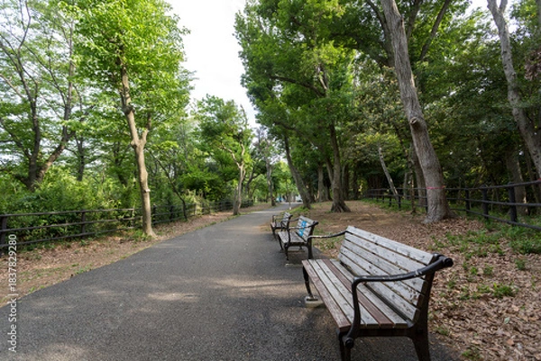 Obraz 日吉の丘公園（神奈川県横浜市港北区箕輪町３丁目）