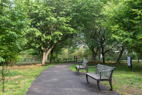 Obraz 日吉の丘公園（神奈川県横浜市港北区箕輪町３丁目）