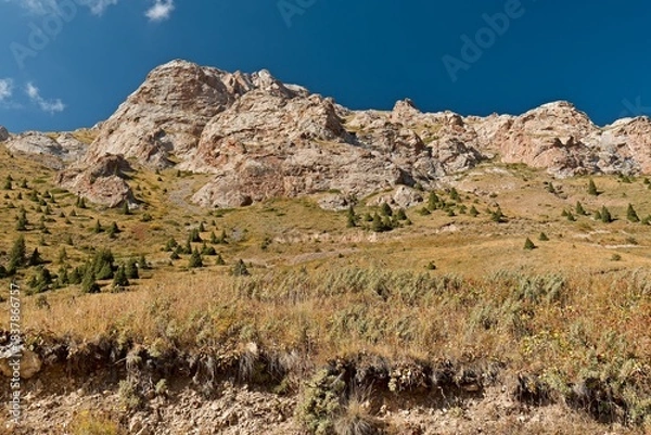 Fototapeta View  landscape in Moldo Too, mountain range in the Inner Tian Shan. Naryn region. Kyrgyzstan. Asia.