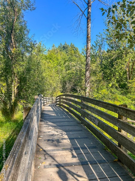 Obraz Bridge through the woods