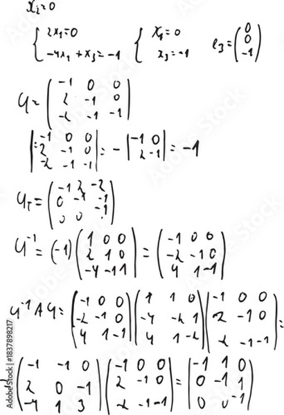 Obraz Higher mathematics. Solving homogeneous equations. Mathematics. Calculating a matrix.