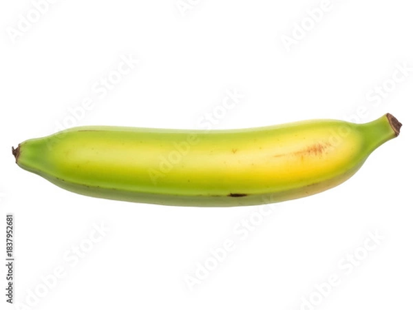 Obraz Isolated tropical plantain fruit in yellow green peel, popular cooking ingredient whole