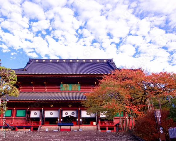 Obraz 日光市　日光山輪王寺　三仏堂と金剛桜の紅葉