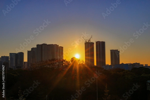 Obraz 東京散歩　夜明け前の汐留湾岸地区