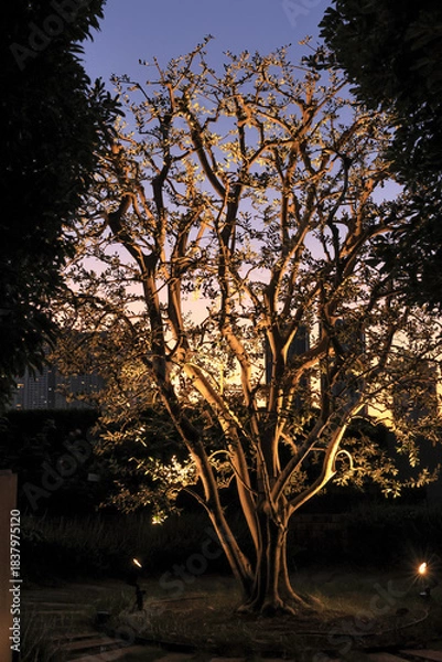 Obraz 東京散歩　夜明け前の汐留湾岸地区