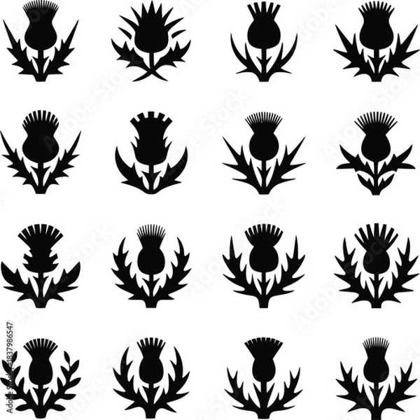 Obraz Thistle Flower Silhouette Icon Set Vector Collection