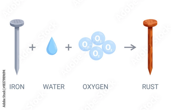 Obraz Rusting process. Steel nail slow oxidation, rust hydrated iron oxide forming. Information poster with chemistry reaction, steps, sapid vector scene