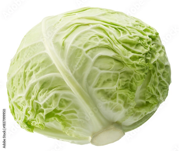 Fototapeta Fresh green cabbage isolated