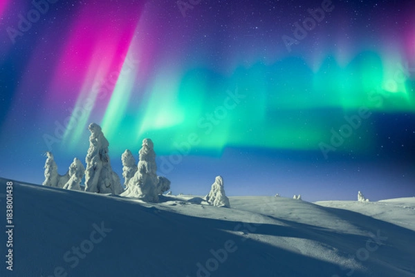 Obraz Vivid Aurora Borealis over snowy mountains and frozen trees. Bright Northern lights in clear winter night sky