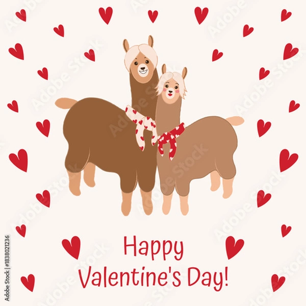 Obraz Romantic Valentine's Day card with a couple of llamas wearing scarves