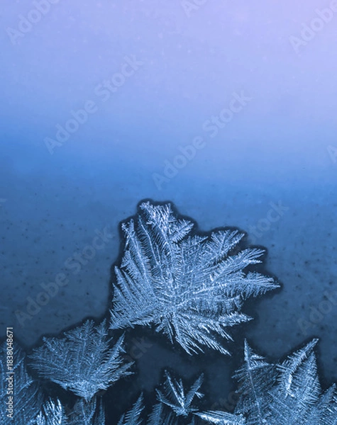 Obraz Beautiful ice pattern on window glass, close-up natural winter background