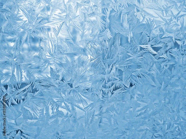 Obraz Beautiful ice pattern on window glass, close-up natural winter background
