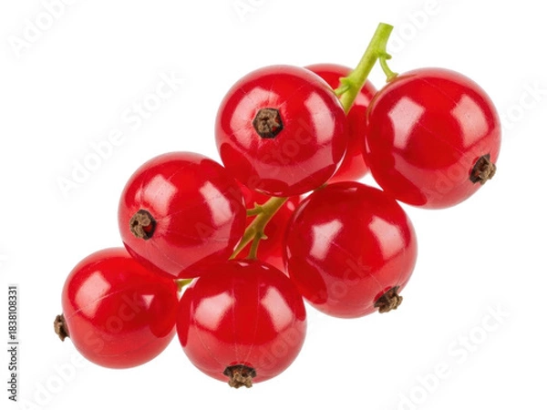 Fototapeta Isolated fresh red currants, glossy vibrant red, small round berries with green stems