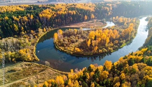 Obraz Aerial view of a meandering river winding through a vibrant autumn forest with golden foliage