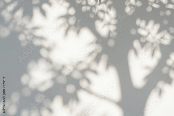 Fototapeta Shadow of a tree casts a pattern on a wall.