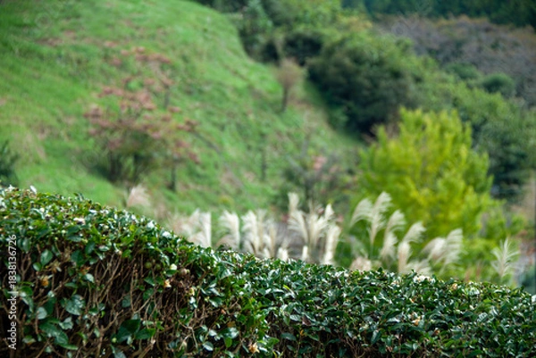 Obraz 秋の里山の風景