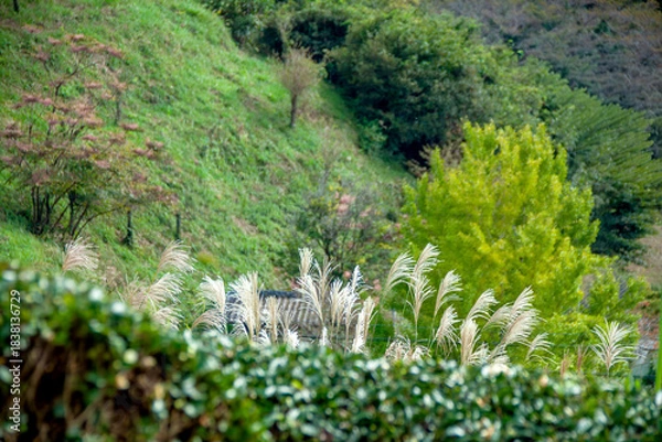 Obraz 秋の里山の風景