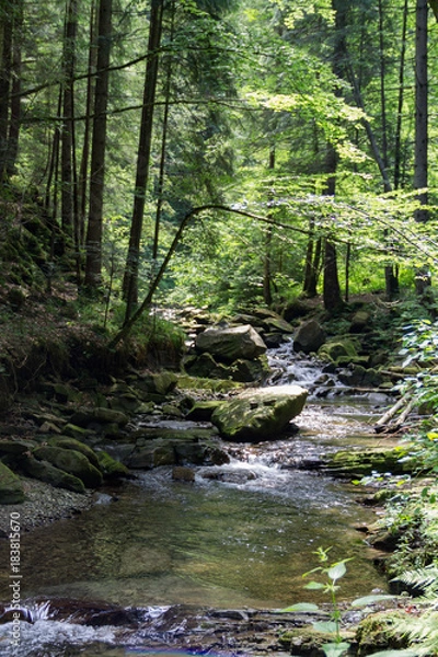 Obraz Горный ручей Украинских Карпат