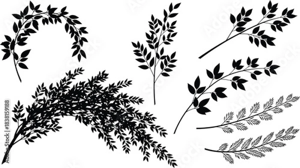 Fototapeta Vintage botanical illustrations of various leafy branches and sprigs in black and white