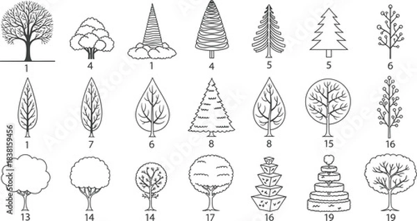 Fototapeta Collection of hand drawn vintage style trees and floral botanical illustrations