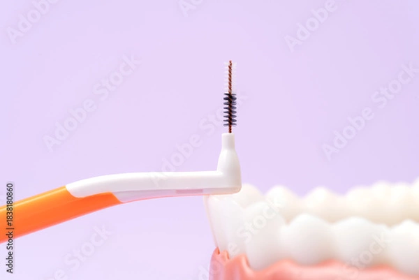 Obraz Interdental brush on teeth model close-up view