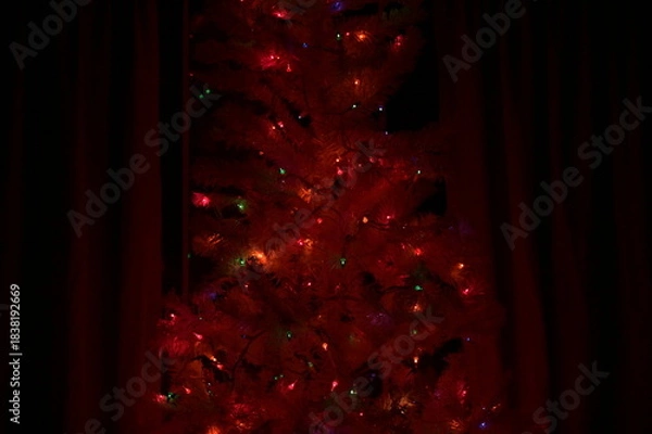 Obraz Christmas Tree Lights