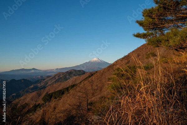Obraz Climbing Mount Tonodake and Tanzawa, Kanagawa, Japan