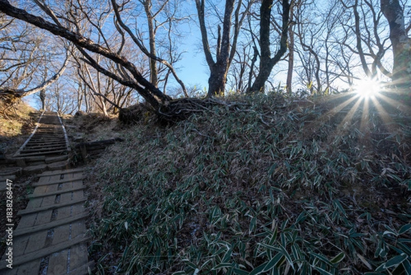 Obraz Climbing Mount Tonodake and Tanzawa, Kanagawa, Japan