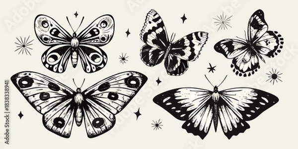 Obraz Vintage illustration of detailed black and white butterflies with sparkling elements