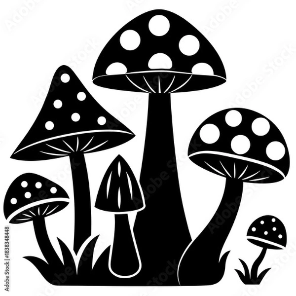 Obraz Mushroom and toadstool vector illustration