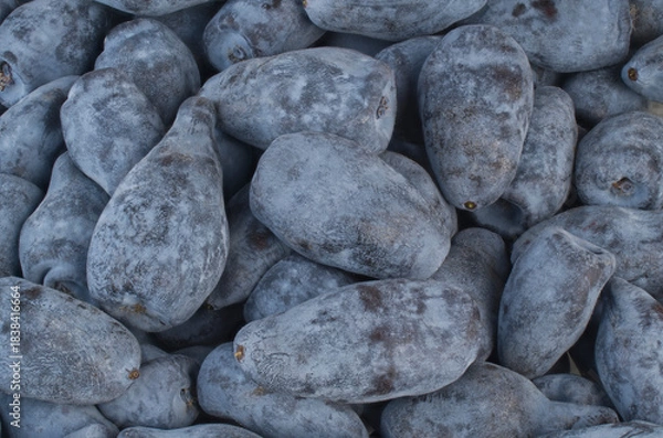 Obraz Honeyberries Backgrounds