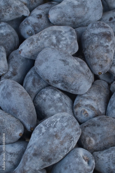 Obraz Honeyberries Backgrounds