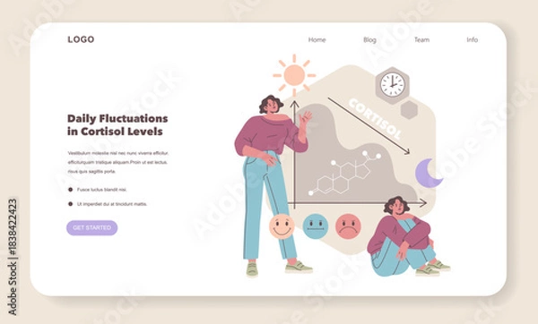 Obraz Daily Cortisol Level Fluctuations Vector Illustration