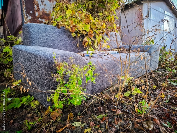 Obraz Old sofa overgrown with plants