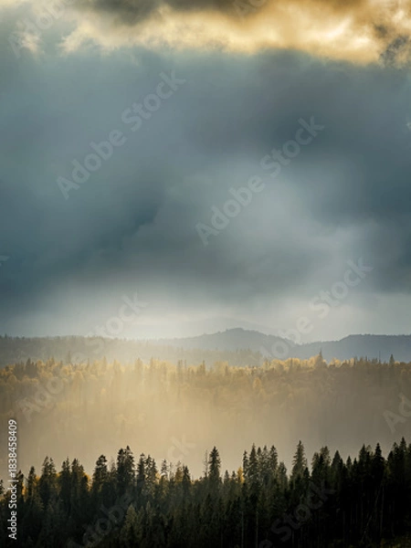 Obraz Sunny Autumn Carpathians with Puffy White Clouds
