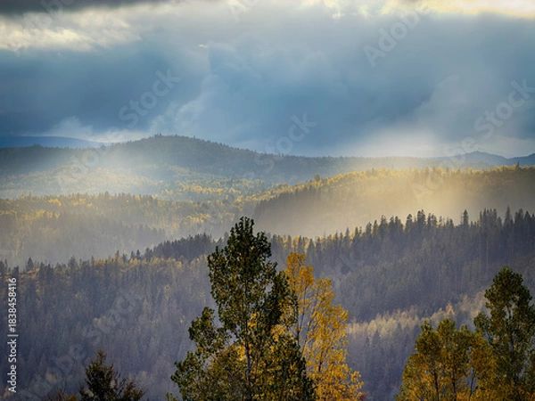 Obraz Sunny Autumn Carpathians with Puffy White Clouds