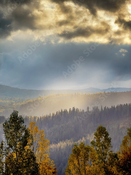 Obraz Sunny Autumn Carpathians with Puffy White Clouds