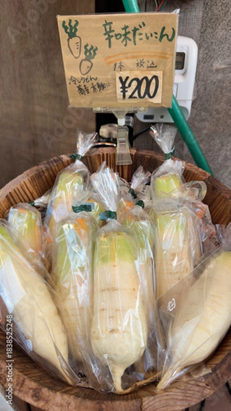 Fototapeta 新鮮野菜　信州名産青首大根