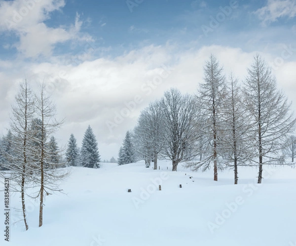 Obraz Winter mountain misty landscape