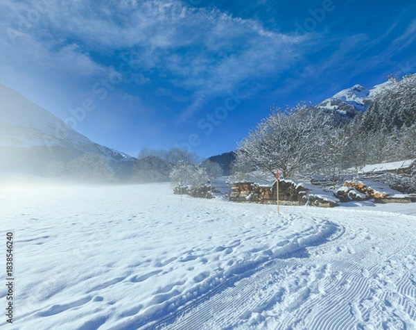Obraz Winter mountain rural landscape.