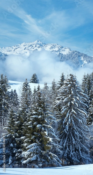 Obraz Winter mountain landscape (Austria, Bavaria).