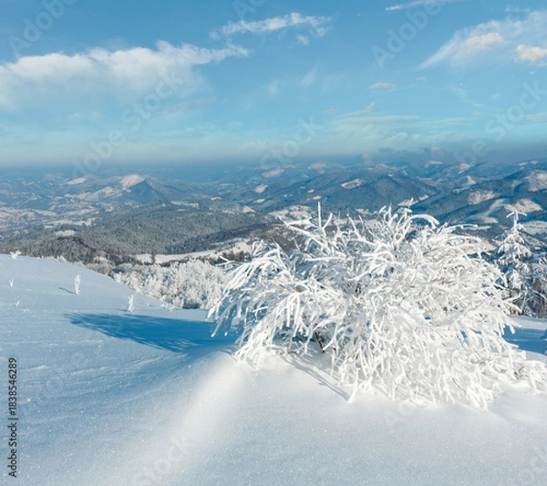 Obraz Winter mountain snowy landscape