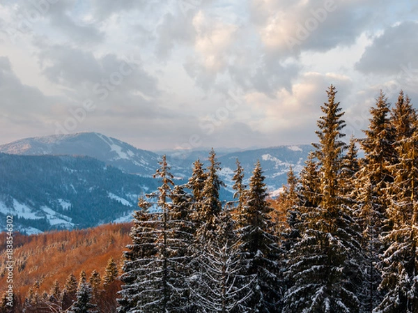 Obraz Winter twilight mountain snowy landscape